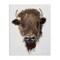 Stupell Industries Western Bison Visage Canvas Wall Art Design by Filippo Ioco